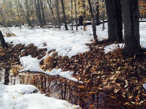 water-snow-trees