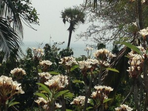 IMG_3093
