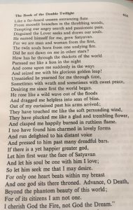 text of the Savitri writings
