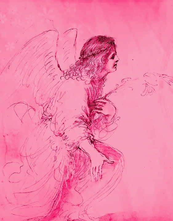 Angel with pink background